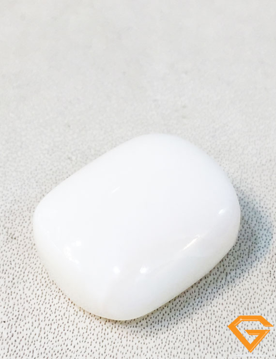 28.50 ratti/25.68 ct Natural Certified  White Coral/सफ़ेद मूंगा